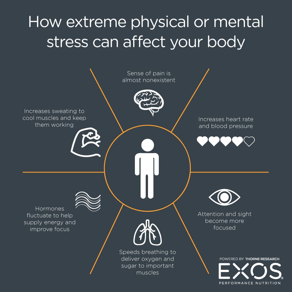 The Science of Stress Mercy Fitness Center Edmond I35